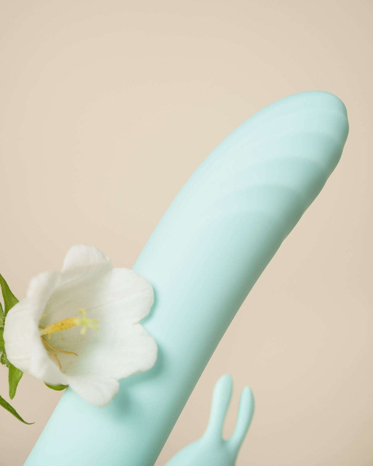 Control Be Playful Rabbit Vibrator USB aufladbar