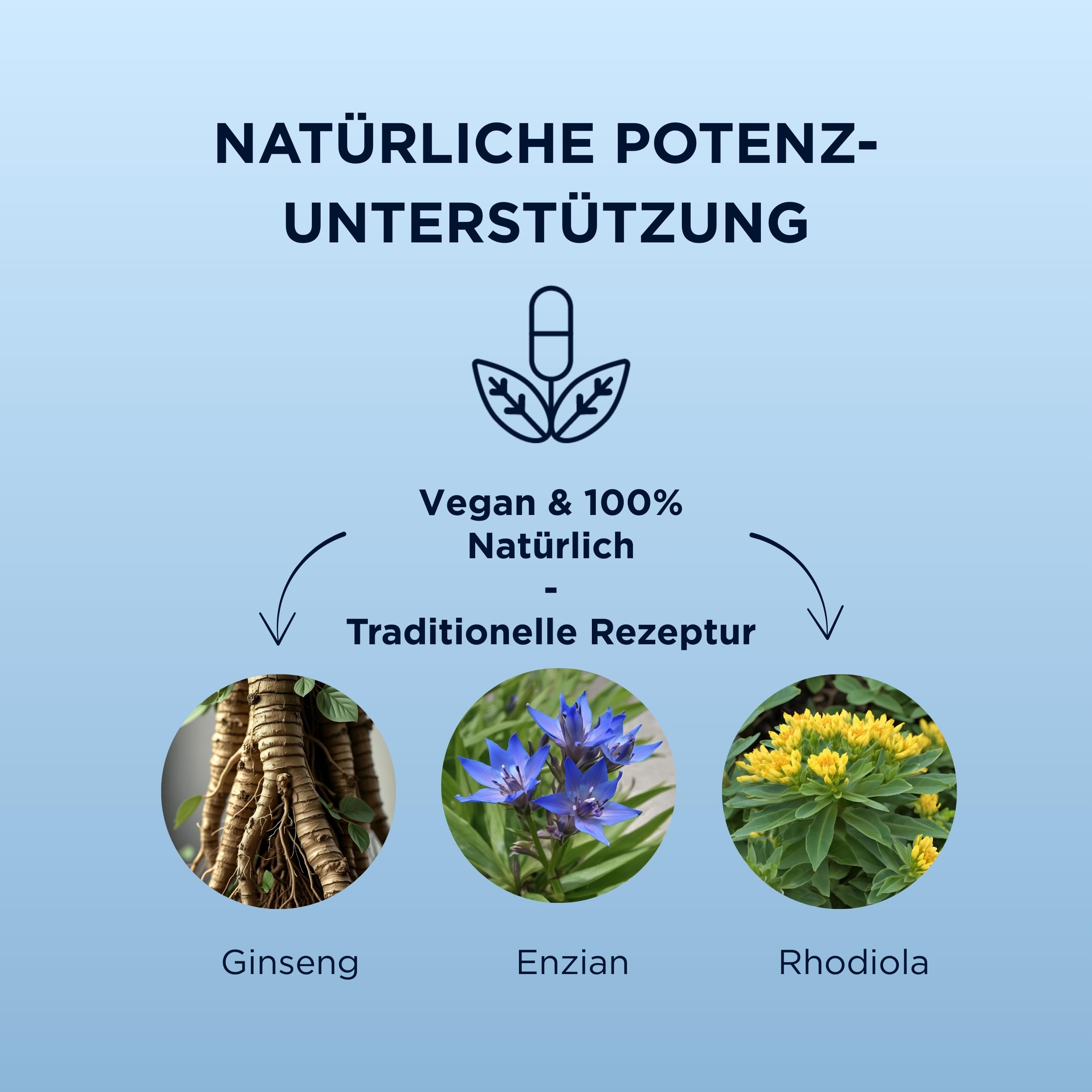 MISTER SIZE Easy Erect Potenzkapseln 5 Stück pflanzlich